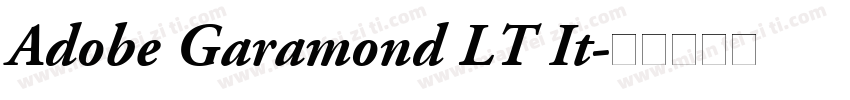 Adobe Garamond LT It字体转换